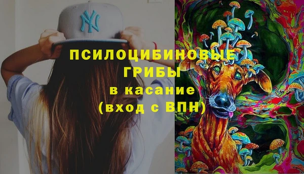 спиды Белокуриха